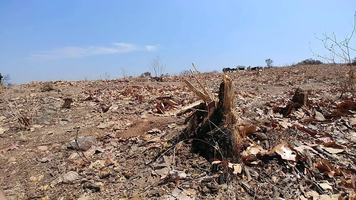 ce08a5a5-3178-476d-8abd-0b9692d38bac