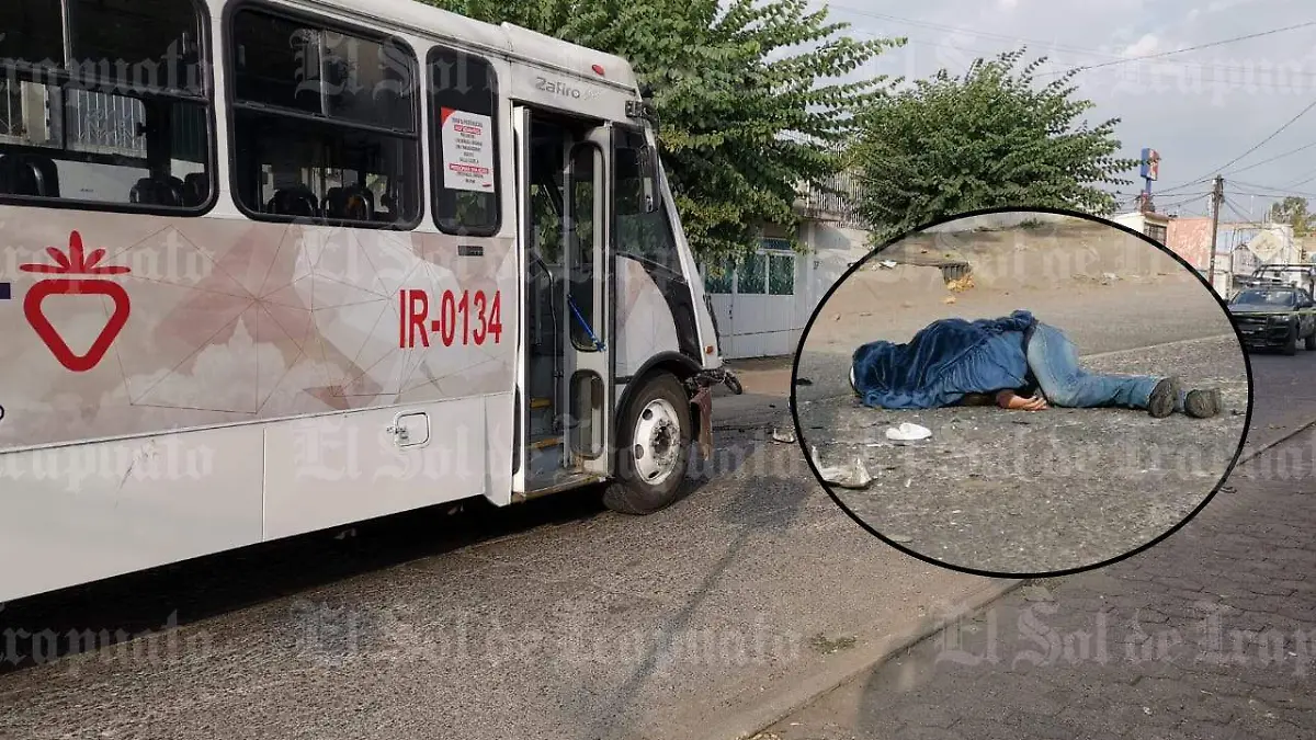 980a6cd3-f4e5-4e6b-bd84-9dd46756800c