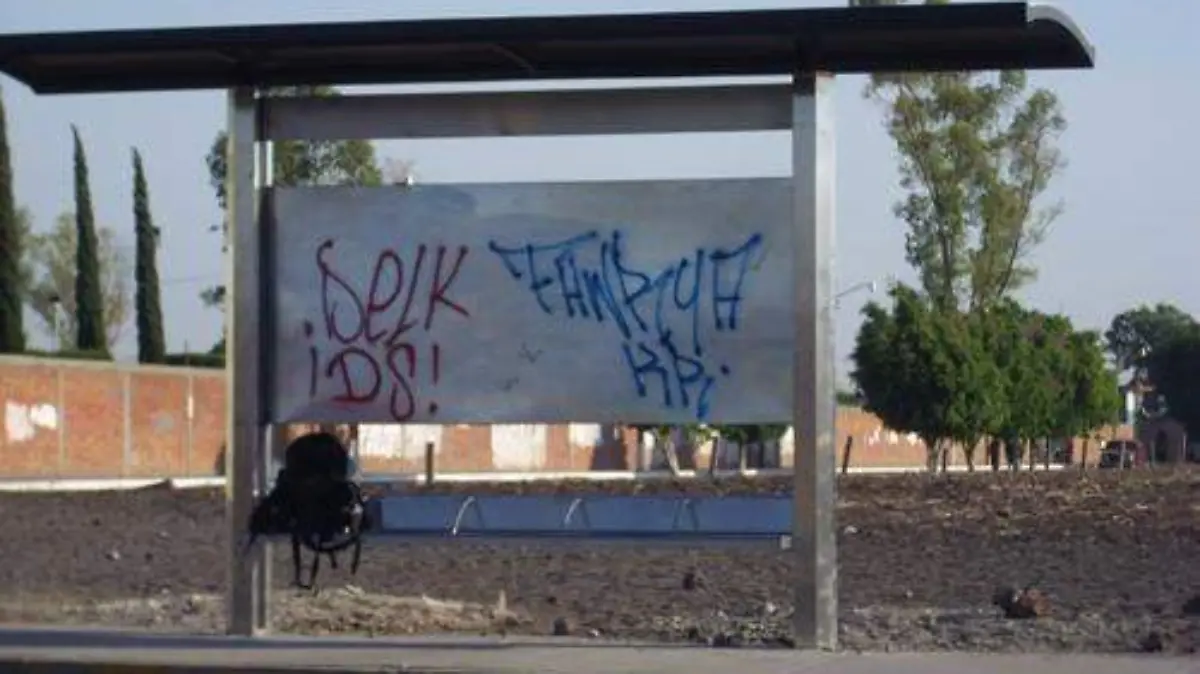 parabuses