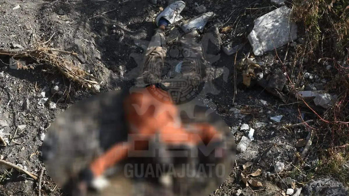 f48ce352-1b93-4428-aa2c-3e391dfe3506