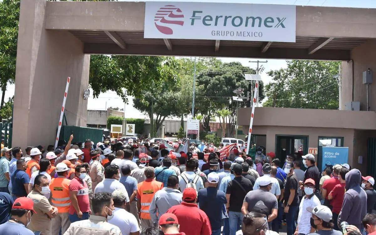 WhatsApp Image 2020-07-17 at 14.34.54