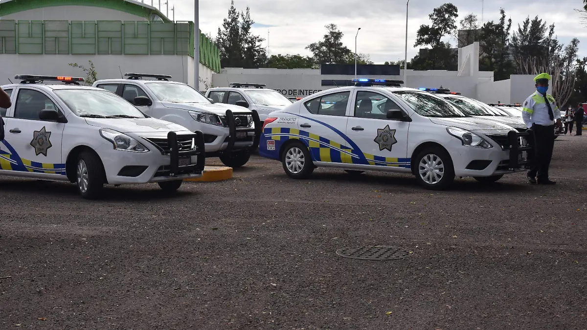 VEHÍCULOS TRÁNSITO (2)