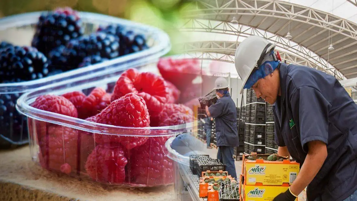 Exportaciones de alimentos