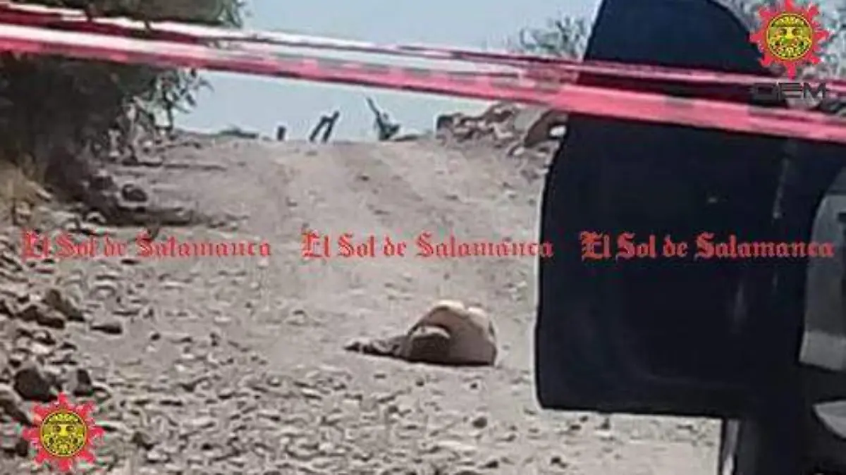 157125ff-3ea8-40ce-9231-5666667b500c