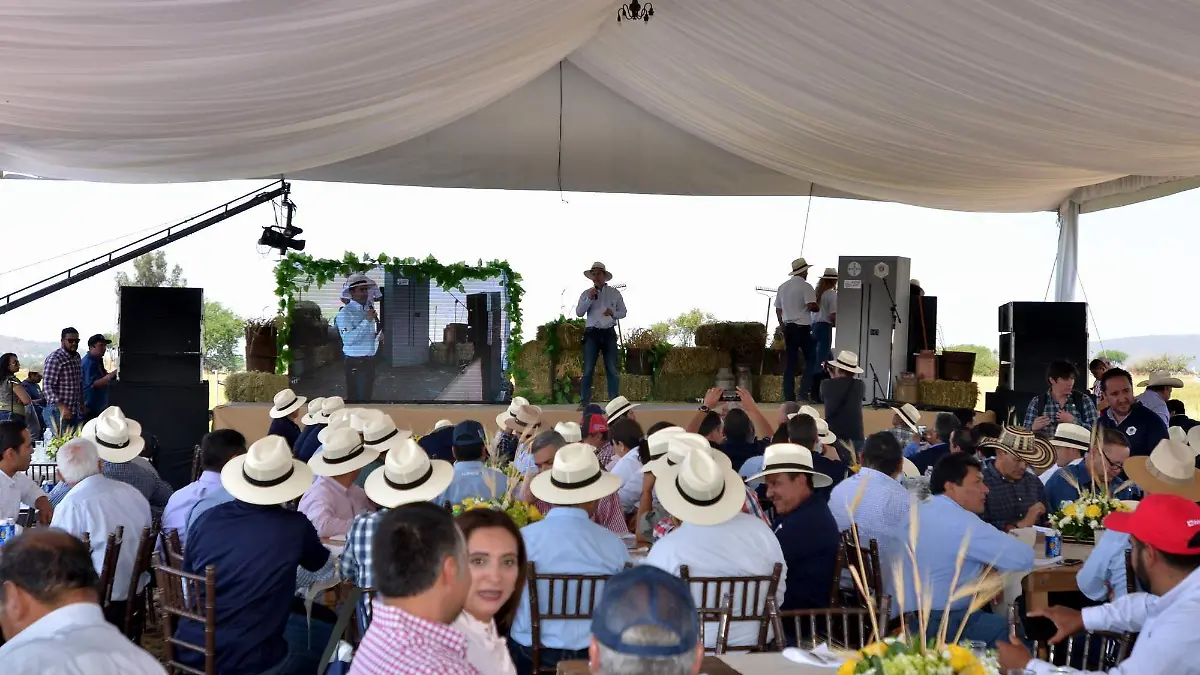 Festejo 1
