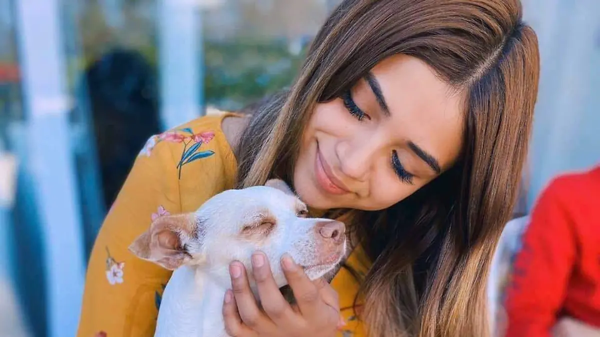 8c2fd5a8-f1c0-4724-a33d-f519f45c8494