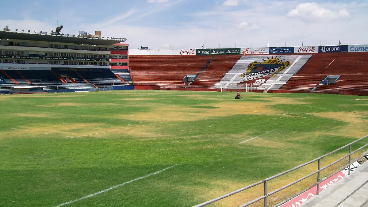 ESTADIO (7)