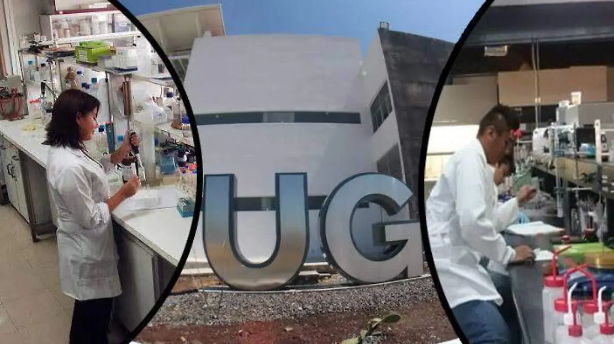 Investigación UG