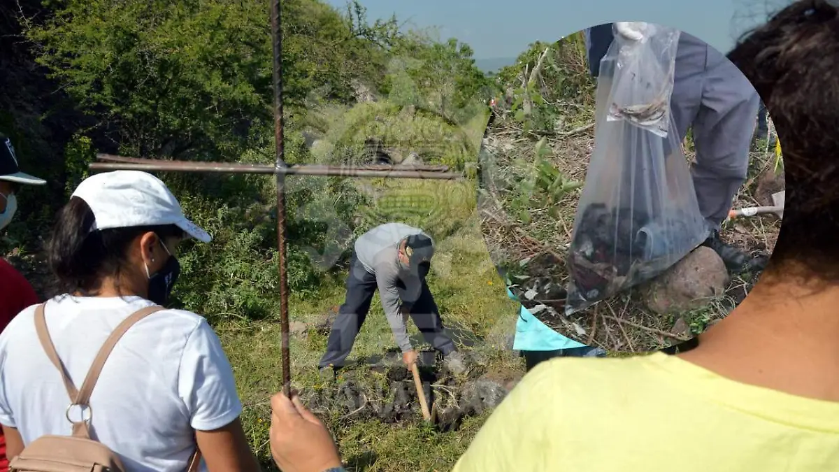 6fc57c5d-93a3-4ebe-9fa6-73428c85414e