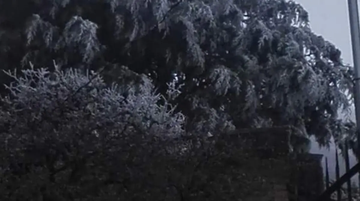 Image 2018-11-14 at 10.10.55 AM