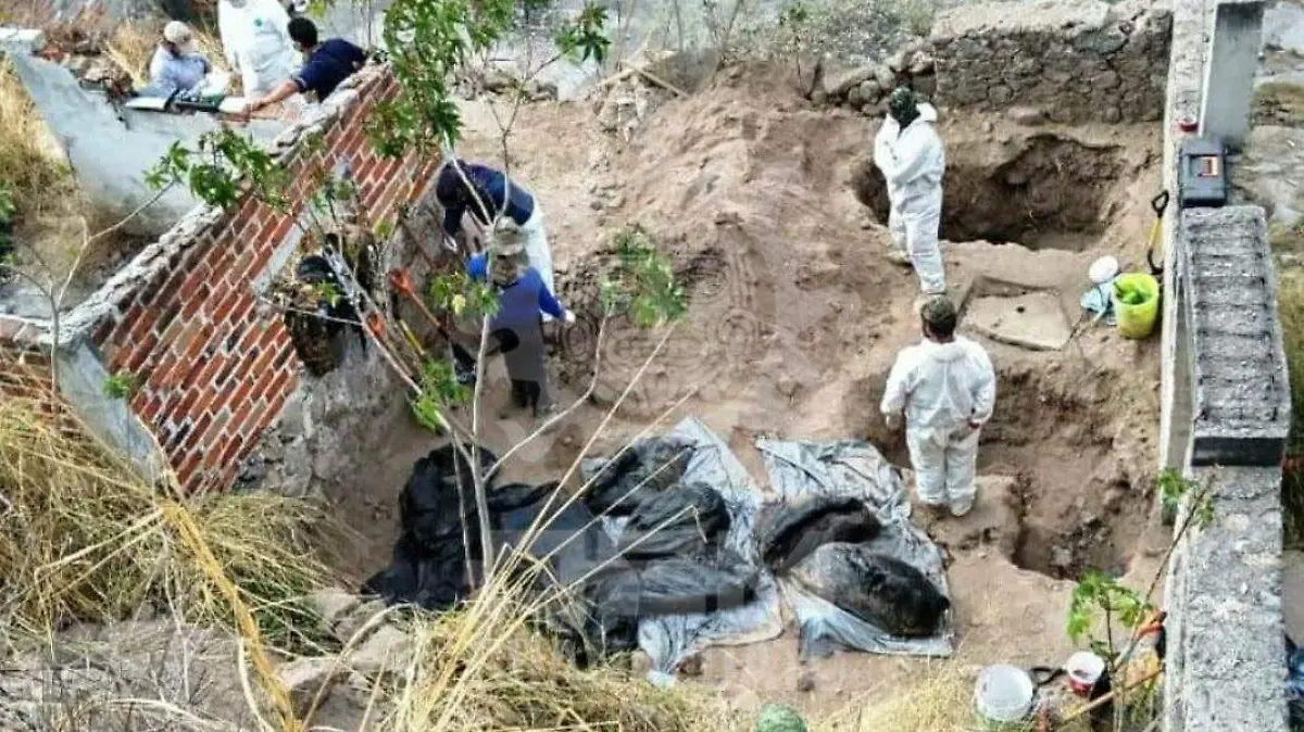 f794d96a-3409-4450-876e-9765a8af3b71