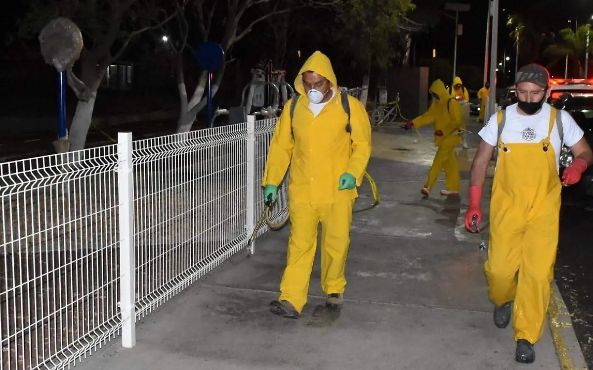 WhatsApp Image 2020-07-14 at 14.47.46