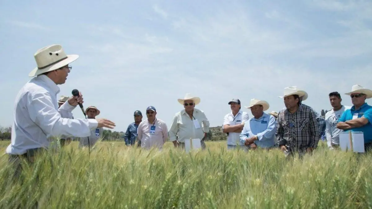 dd35d62c-3338-4e94-a82d-092bb2ef5fdb