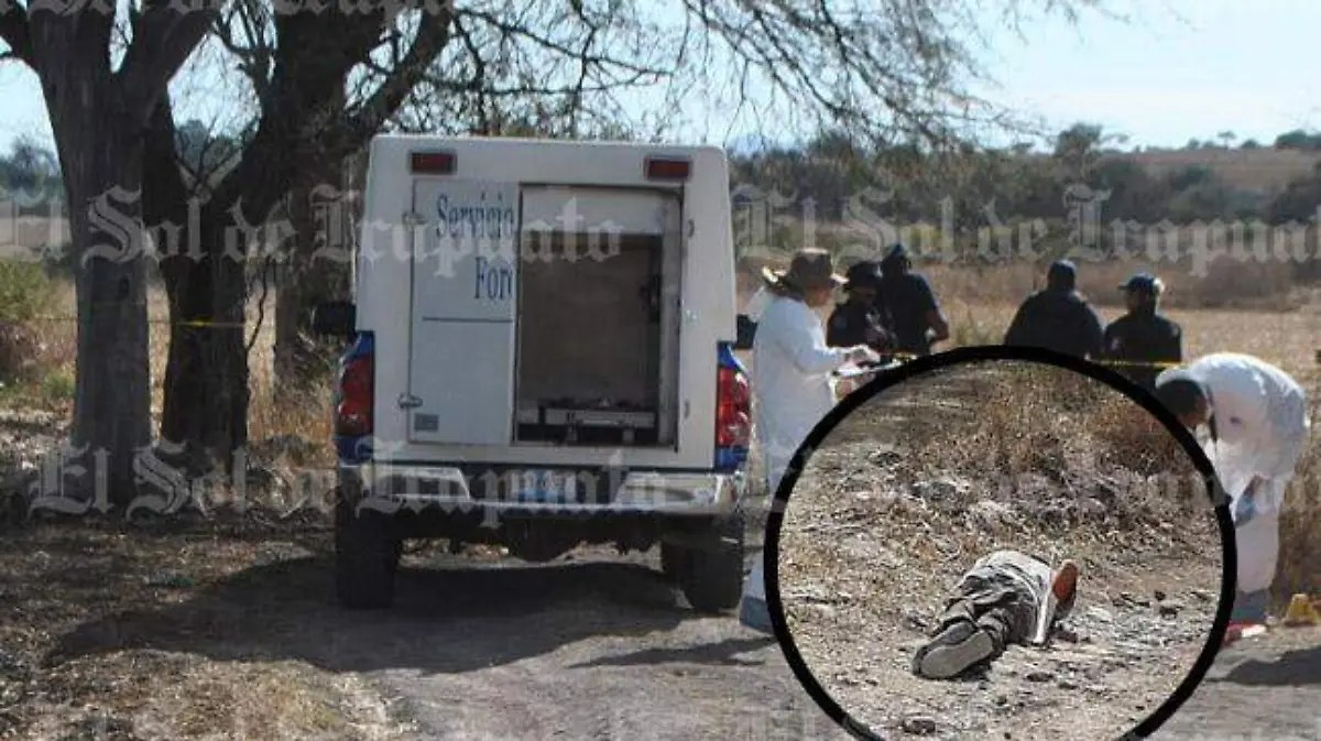 5474b705-b183-46f6-a85a-ba0ed65a37a3