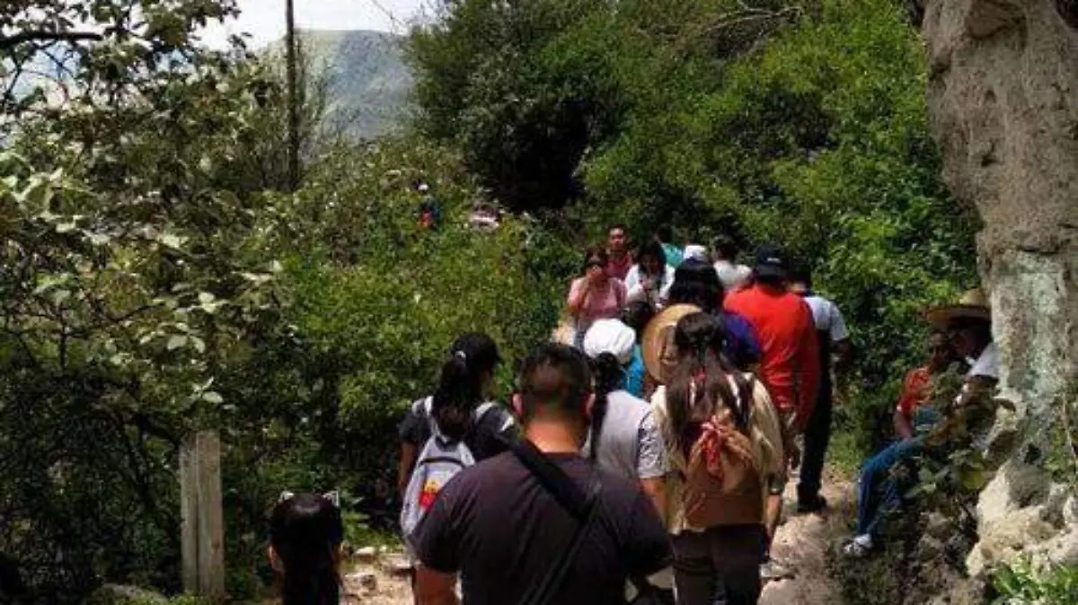 90198bb7-1308-47dd-a594-ae400c0662c2