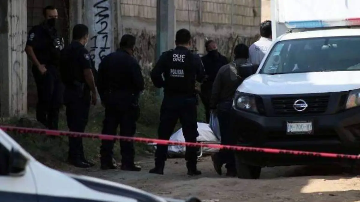 b9311011-0618-4904-b99f-208dd71dae13