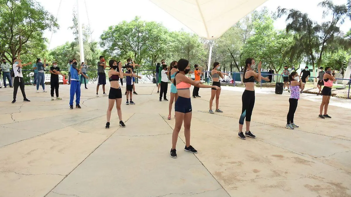 WhatsApp Image 2020-08-13 at 15.35.15