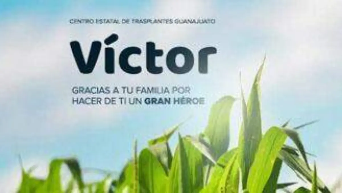 237812f1-d387-482c-90d4-38b288f58a00