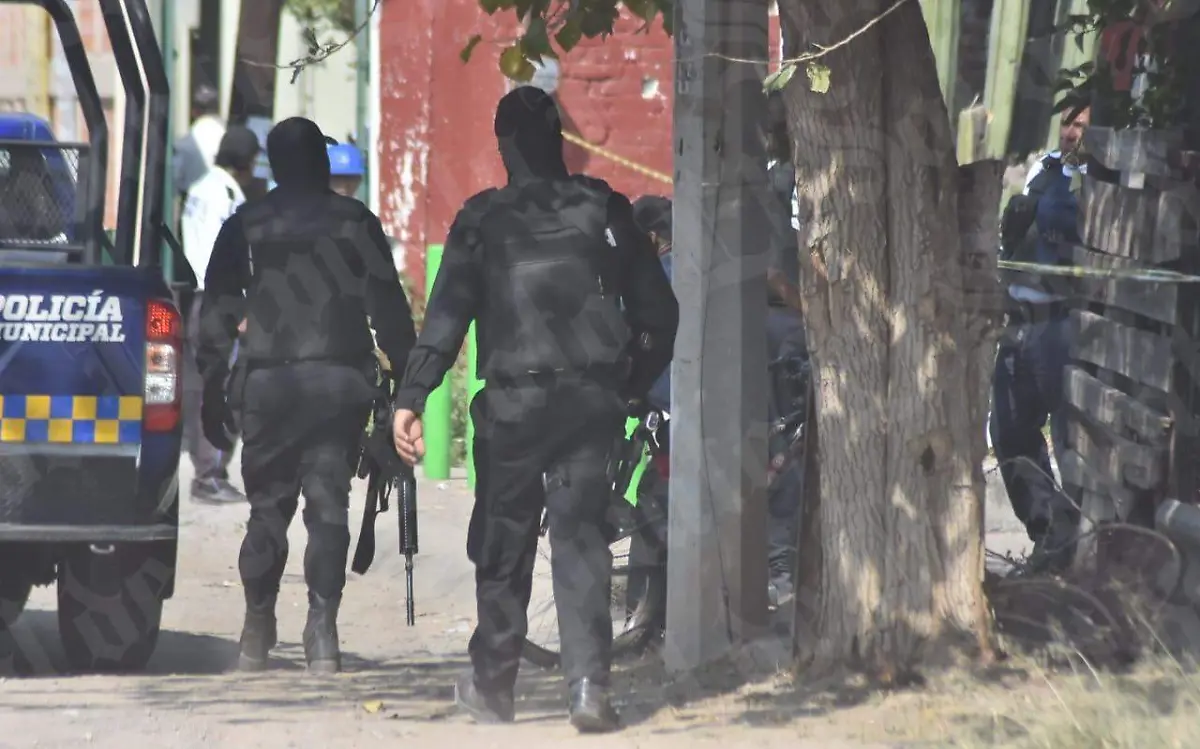 WhatsApp Image 2019-11-29 at 12.54.56