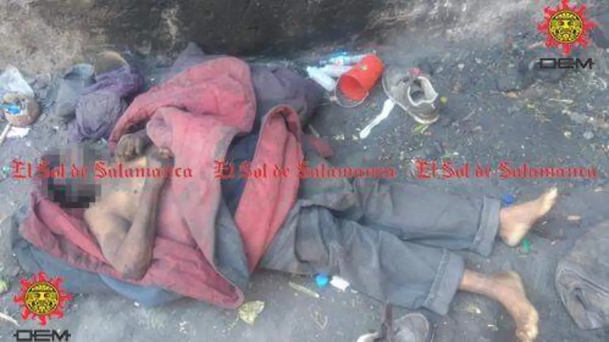 7ffdd8b5-bcde-4b8d-a827-f293c73116ae