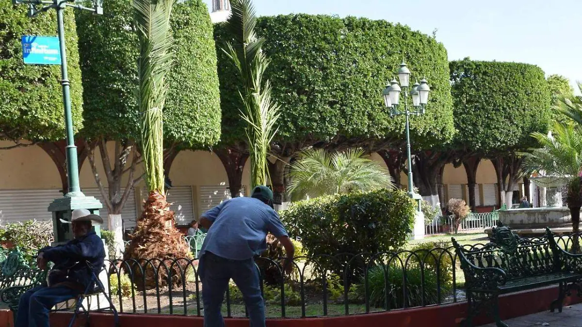 Image 2020-02-19 at 09.57.33 (2)