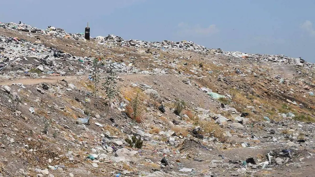 WhatsApp Image 2020-03-24 at 7.55.55 AM (1)