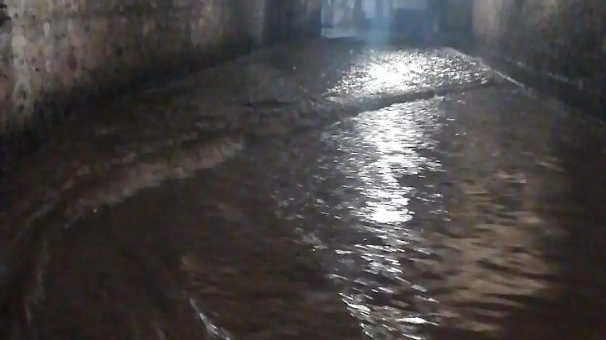 1d749774-c32c-4986-97ce-f0f7eae3849b