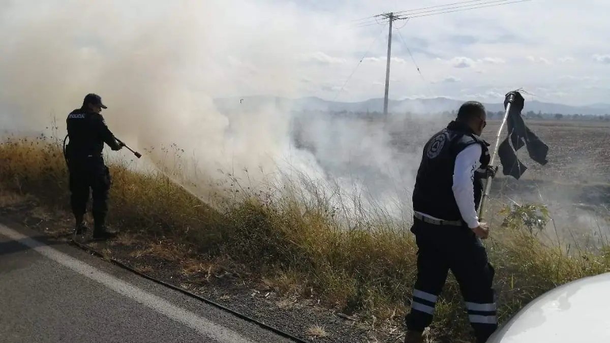 c718a853-b1a3-4fc1-900d-d8cd6d7e6412