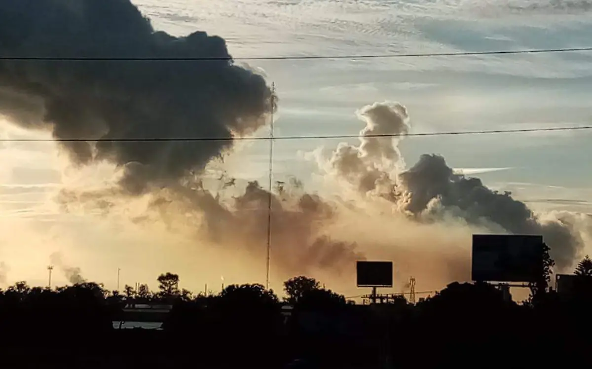 WhatsApp Image 2020-08-31 at 8.27.42 AM