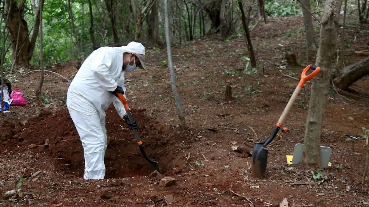 fea89a3f-bf35-4b21-a988-8485dc3e9b17