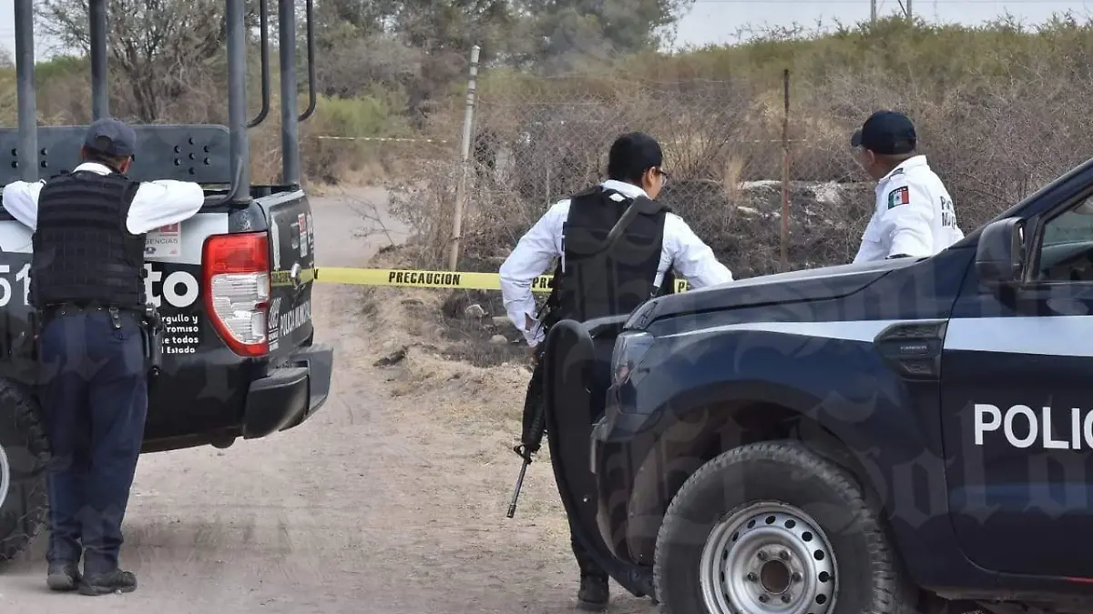 a9e07b28-fe57-4b1d-93f6-5b616a126874