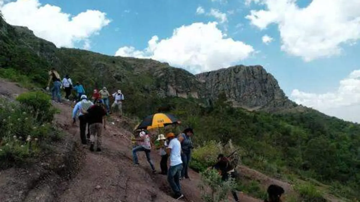 a37b4339-850b-419f-9352-0db8ec2f34e7