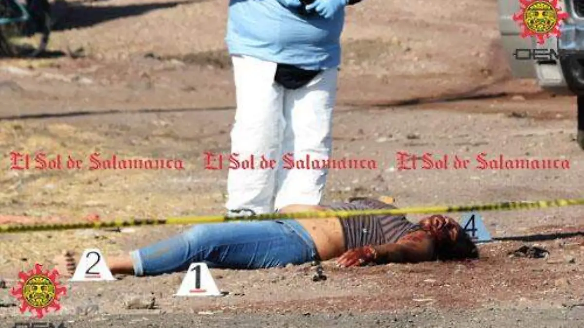 80aaf06d-34f8-41a6-a776-79ca0d774cfd