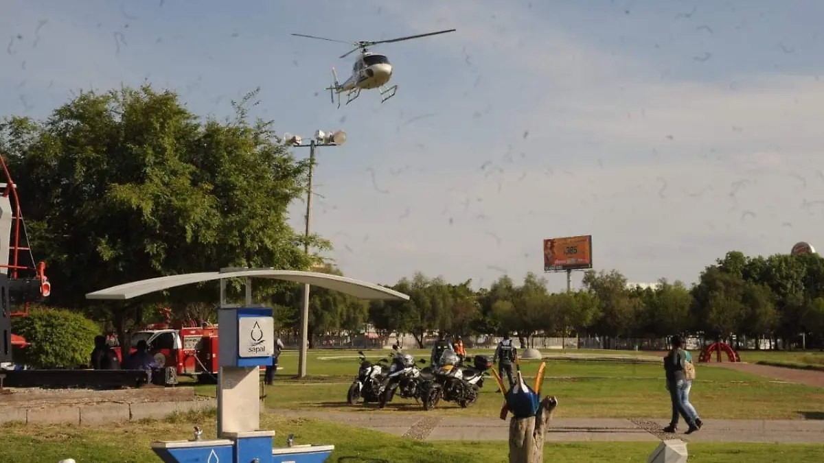 ca422815-f5bb-4fca-b4e3-381997dc8fb8