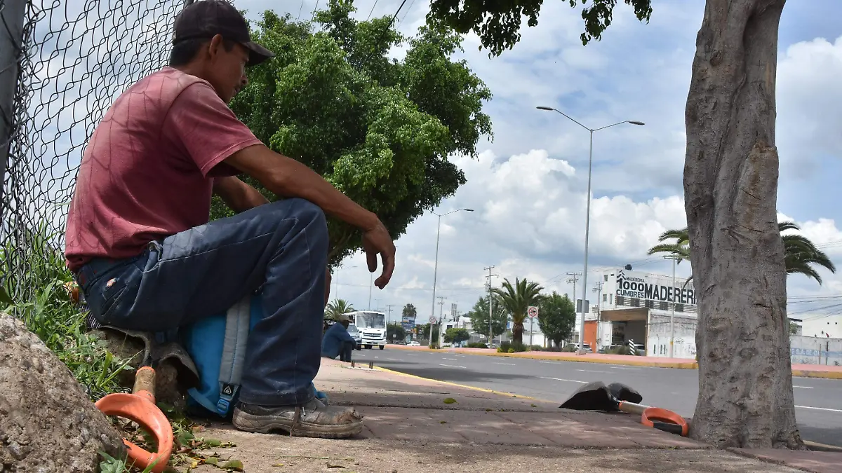 FALTA EMPLESO, HOTELES Y RENTA LOCALES (2)
