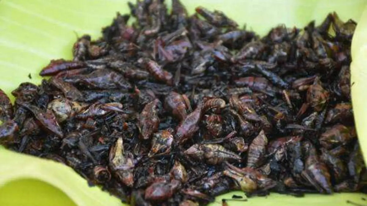 abacb867-7043-413f-85b6-96506b8dd34d