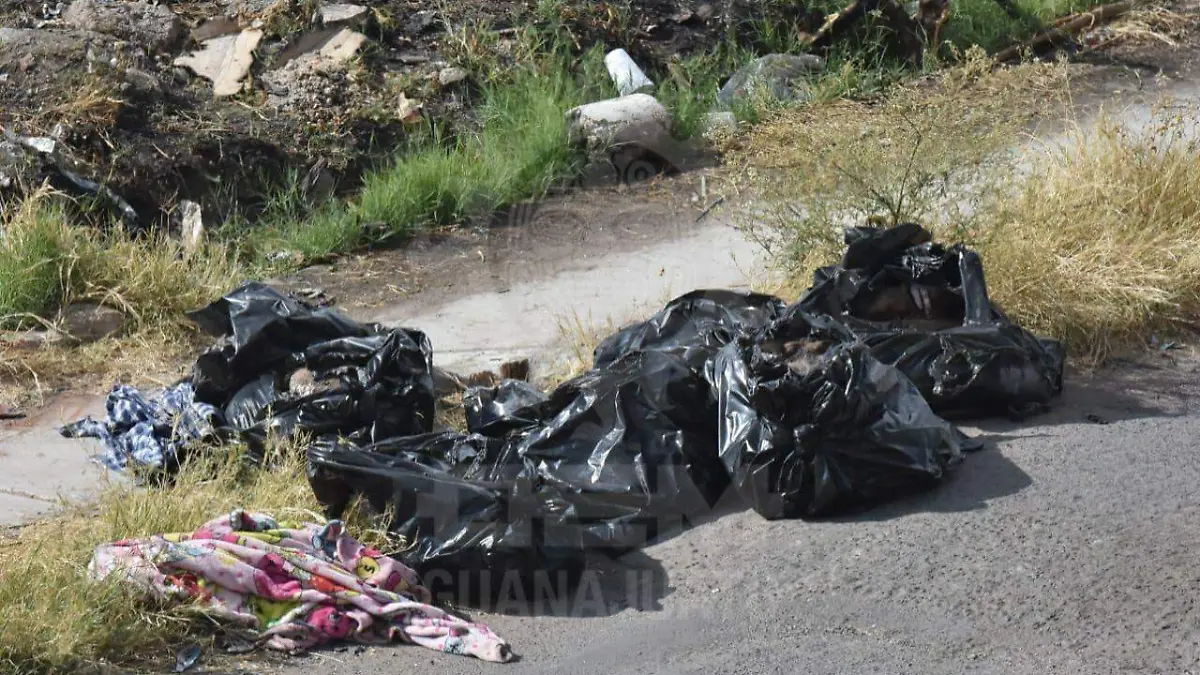 b358e618-3724-4c7a-bbde-4639aba561de