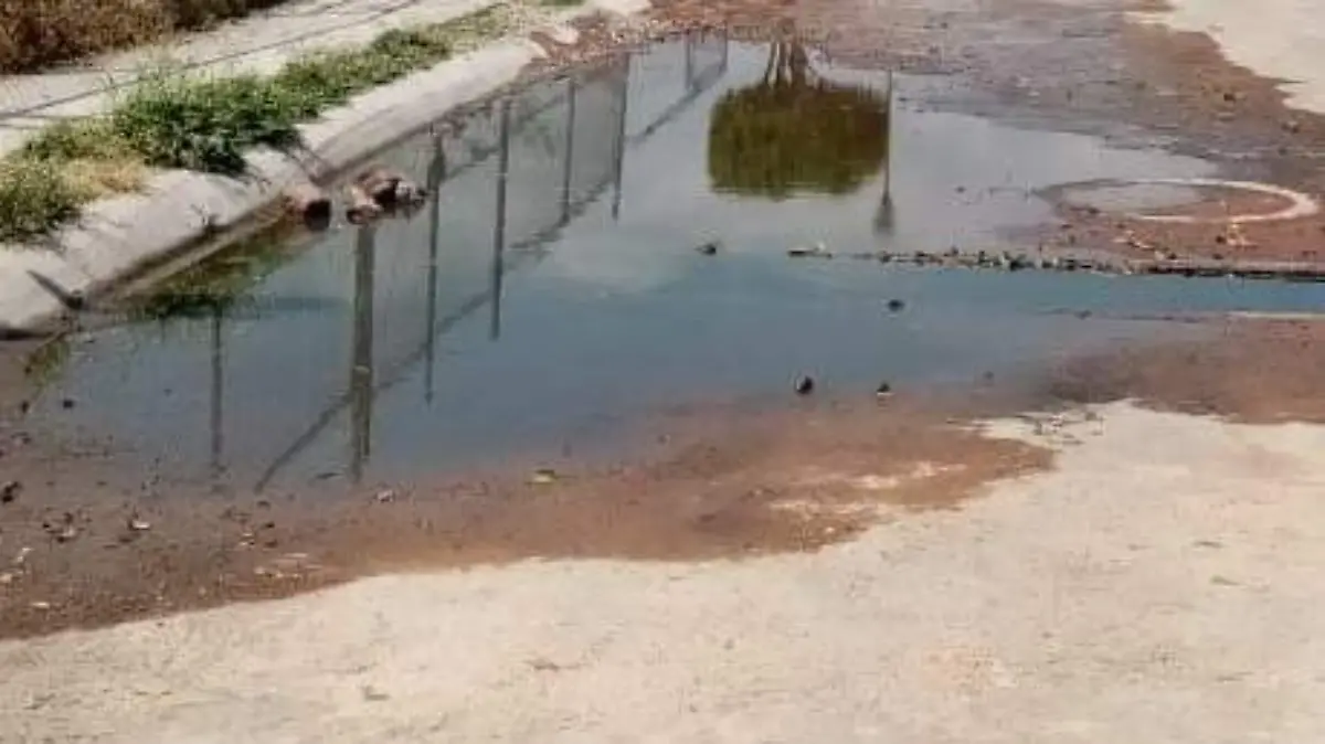 WhatsApp Image 2020-03-18 at 10.04.51