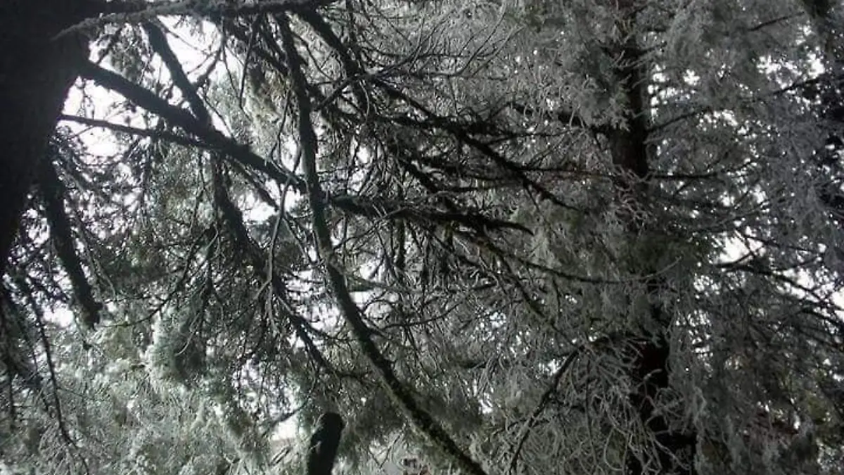 Image 2018-11-14 at 10.10.54 AM