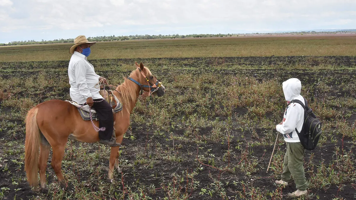 SIN AGUA EN PRESA EL CONEJO (6)