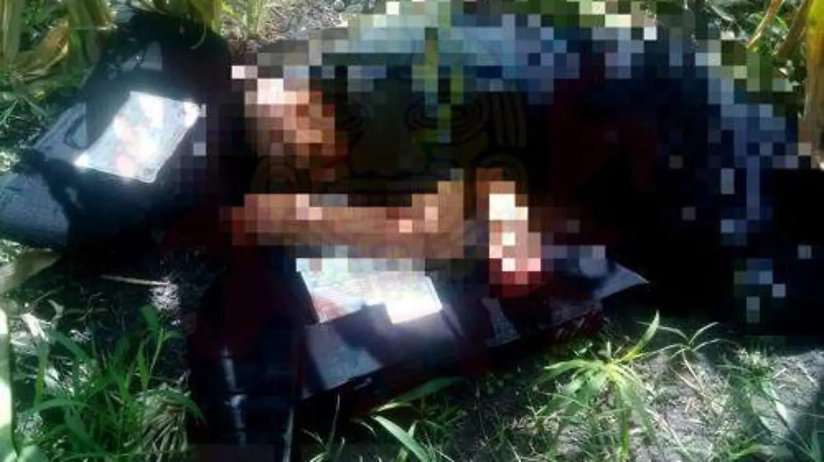 Image 2019-09-19 at 1.41.15 PM