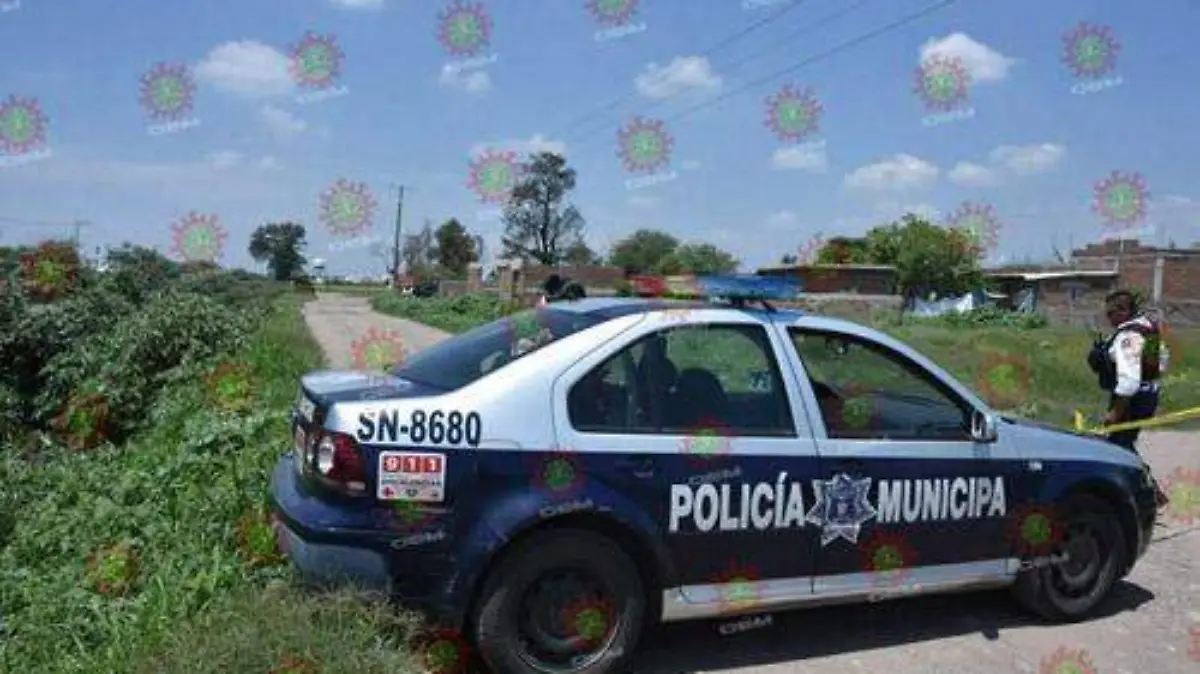 d520ca80-1be5-420b-8ac4-f010dbd24b08