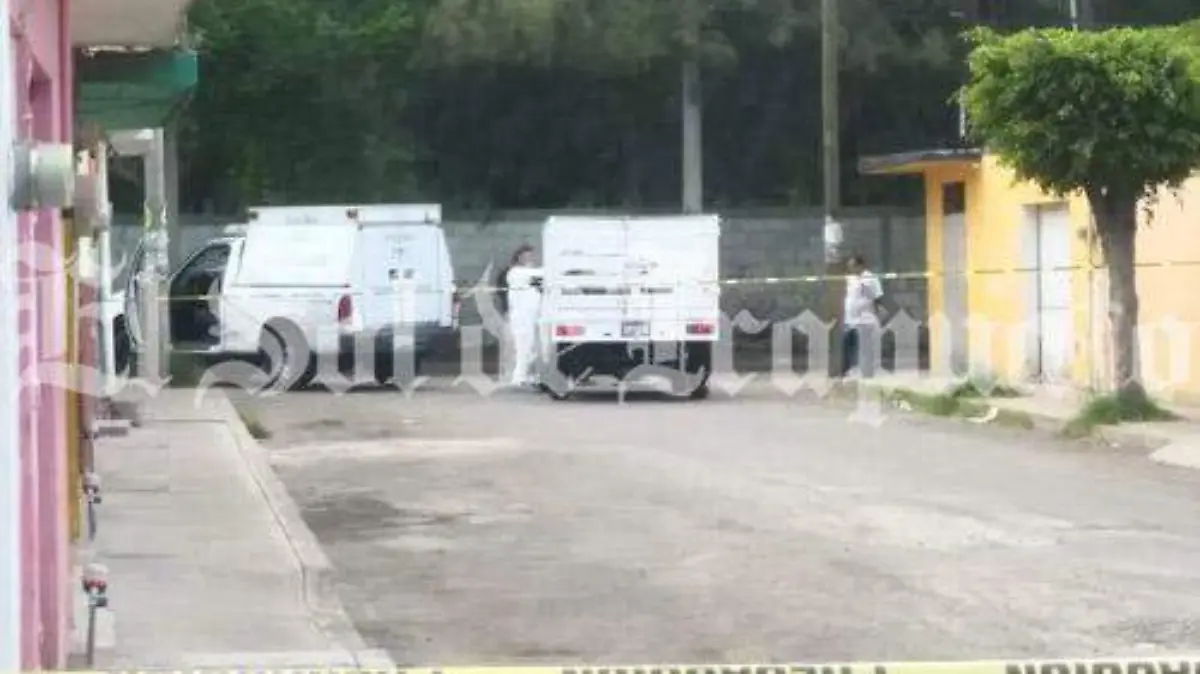 b8acecc8-5d0d-4a56-bb56-53d9c2a6c153