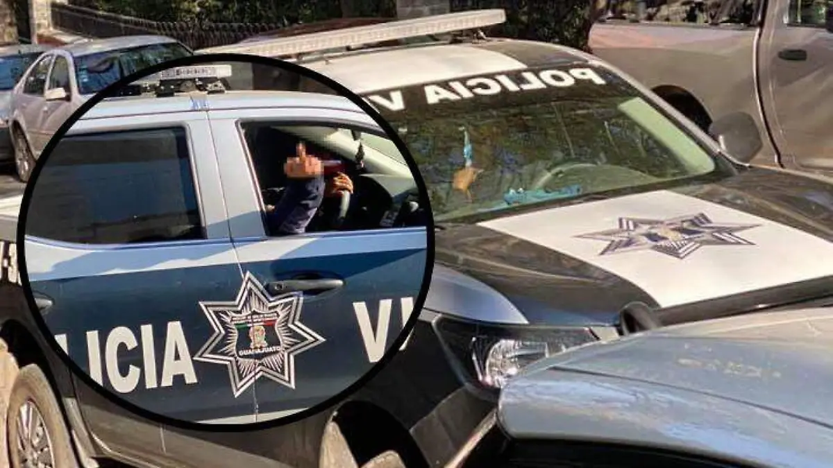 c935d0ab-f071-413d-86c0-d2c09dbe5038