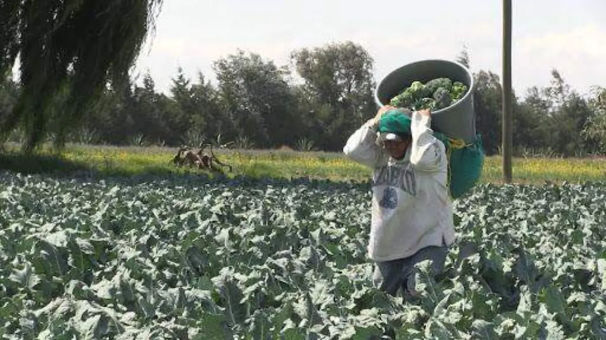 96b4c0f3-9eef-4f3c-b3df-ffae15c7b646