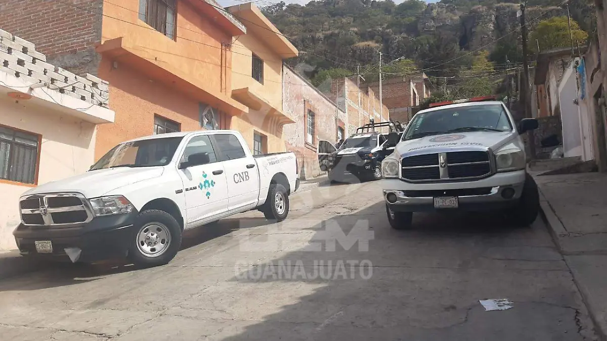 9055dd2d-b826-484a-a7ae-e8b41c524c31