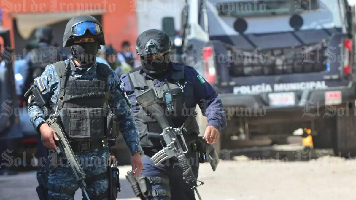 f80c9fa2-e574-4764-b4ae-56e06f1bff10