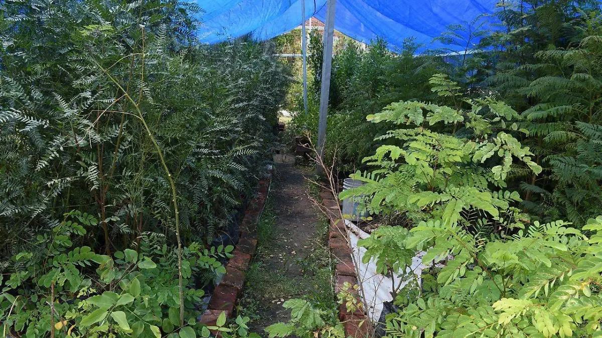 dbcc5331-a8fc-4da2-9ace-1b7897821fb4