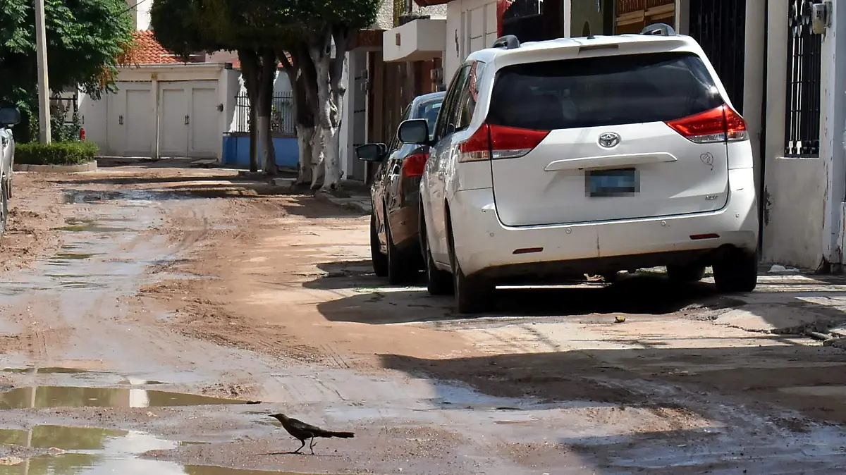 LODAZAL EN LAS PLAZAS 3