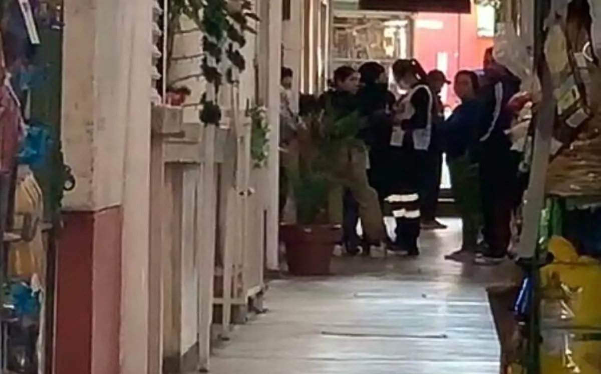 7bc99513-3759-4656-8e24-02165f63e9f4